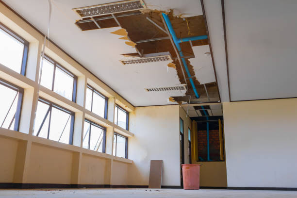 Best Water damage contractors near me  in Wheeler, TX