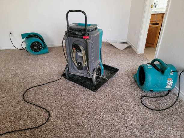 Best Local water damage restoration  in Wheeler, TX