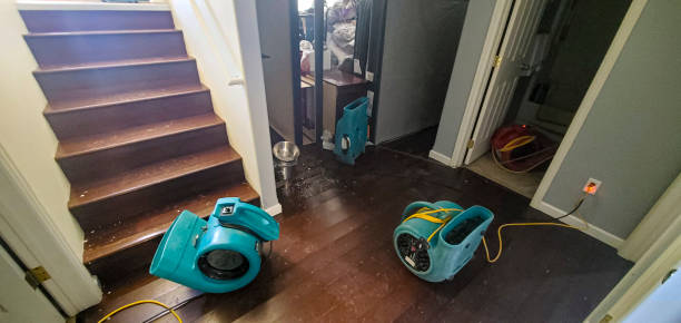 Water damage restoration mold remediation in Wheeler, TX