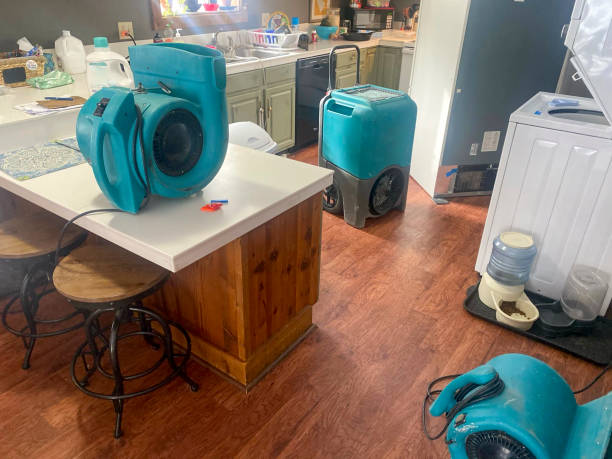 Sewage cleanup and water damage restoration in Wheeler, TX