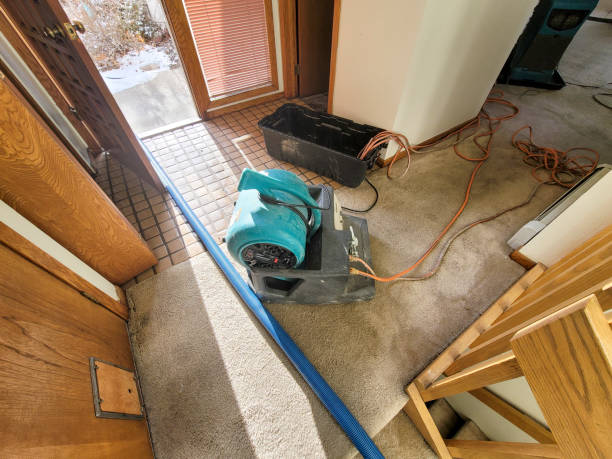 Best Flooded house restoration  in Wheeler, TX
