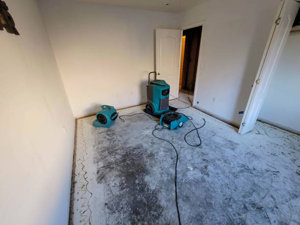 Best Ceiling water damage repair  in Wheeler, TX