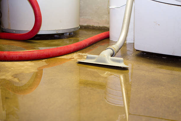Best Flood restoration services  in Wheeler, TX